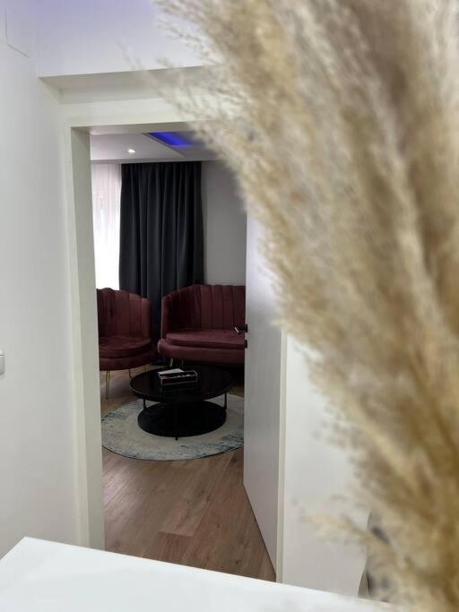 Traum Wohnung Mit Kingsize-Bett Graz Luaran gambar