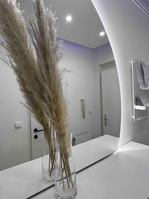 Traum Wohnung Mit Kingsize-Bett Graz Luaran gambar